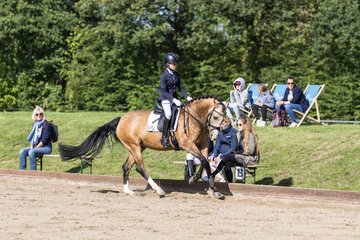 Bild 527 - Pony Akademie Turnier